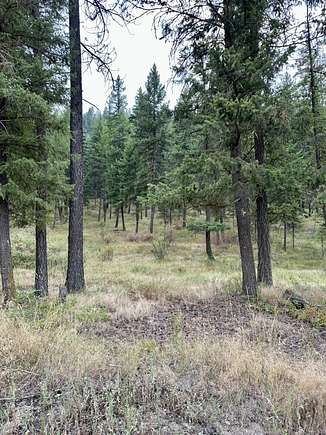 23 Acres of Recreational Land & Farm for Sale in Superior, Montana