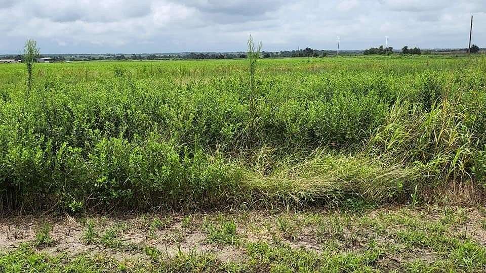 1.02 Acres of Land for Sale in Coupland, Texas