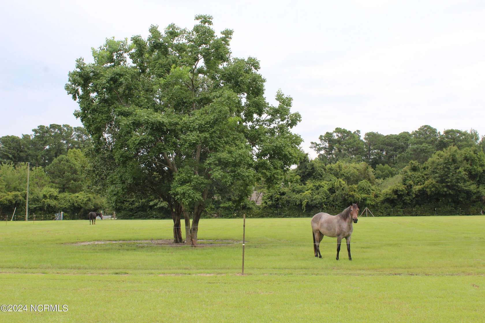 10 Acres of Land with Home for Sale in New Bern, North Carolina