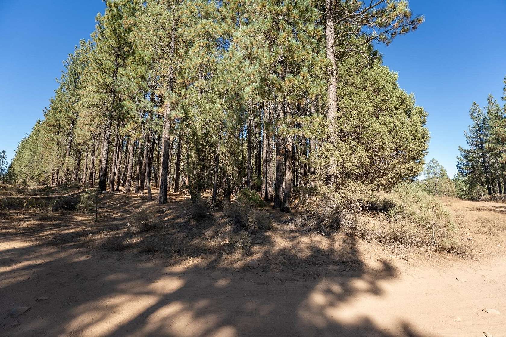 0.32 Acres of Residential Land for Sale in Portola, California