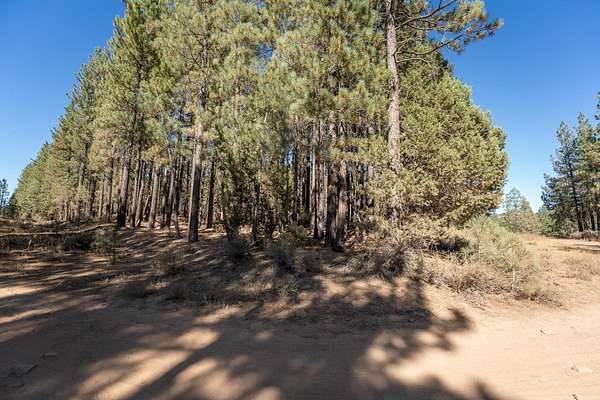 0.32 Acres of Residential Land for Sale in Portola, California