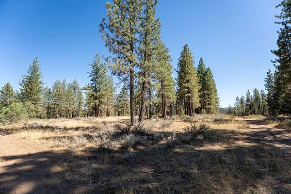 0.48 Acres of Residential Land for Sale in Portola, California