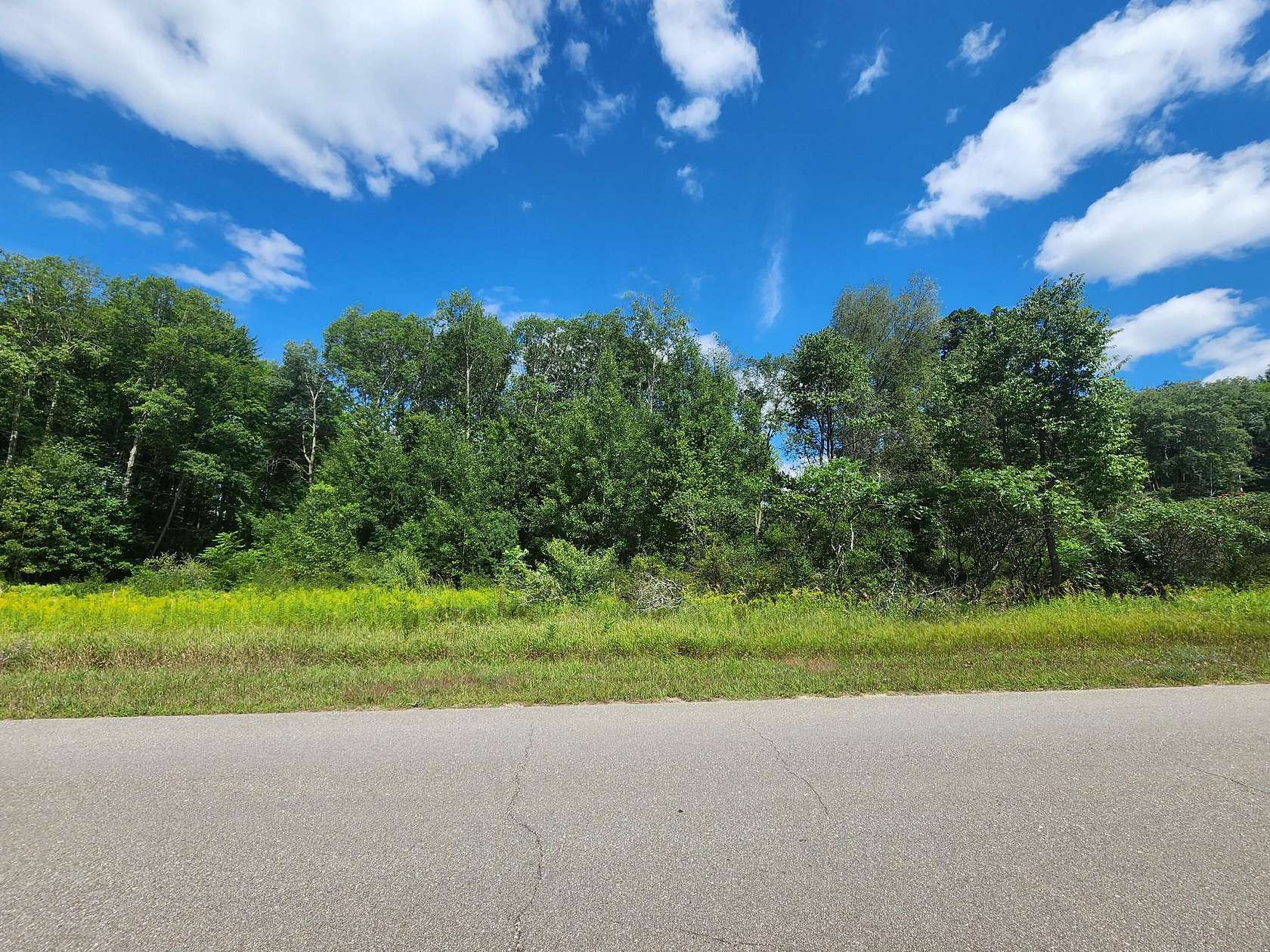 Land for Sale in Stanwood, Michigan