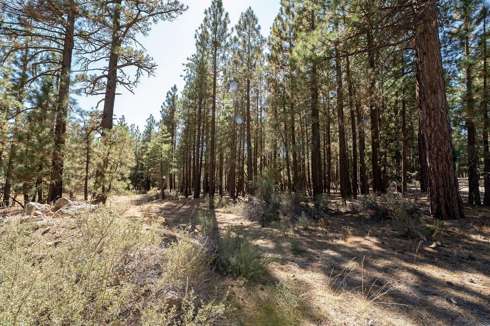 0.32 Acres of Residential Land for Sale in Portola, California