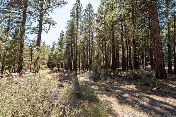 0.32 Acres of Residential Land for Sale in Portola, California