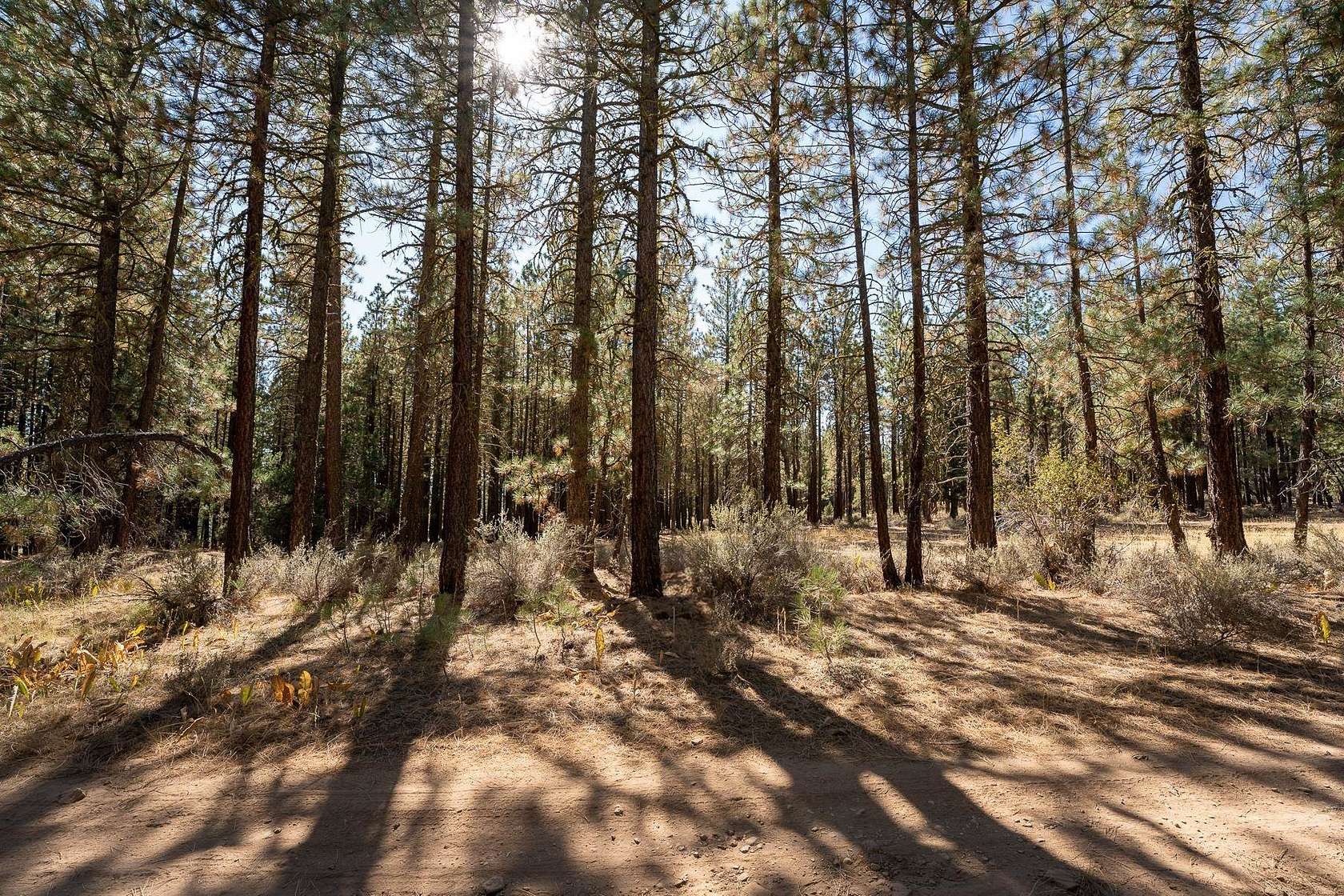 0.32 Acres of Residential Land for Sale in Portola, California