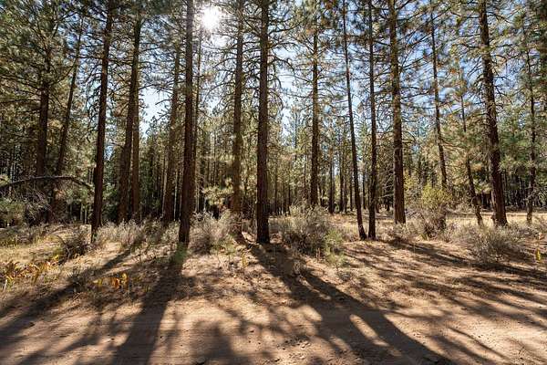 0.32 Acres of Residential Land for Sale in Portola, California