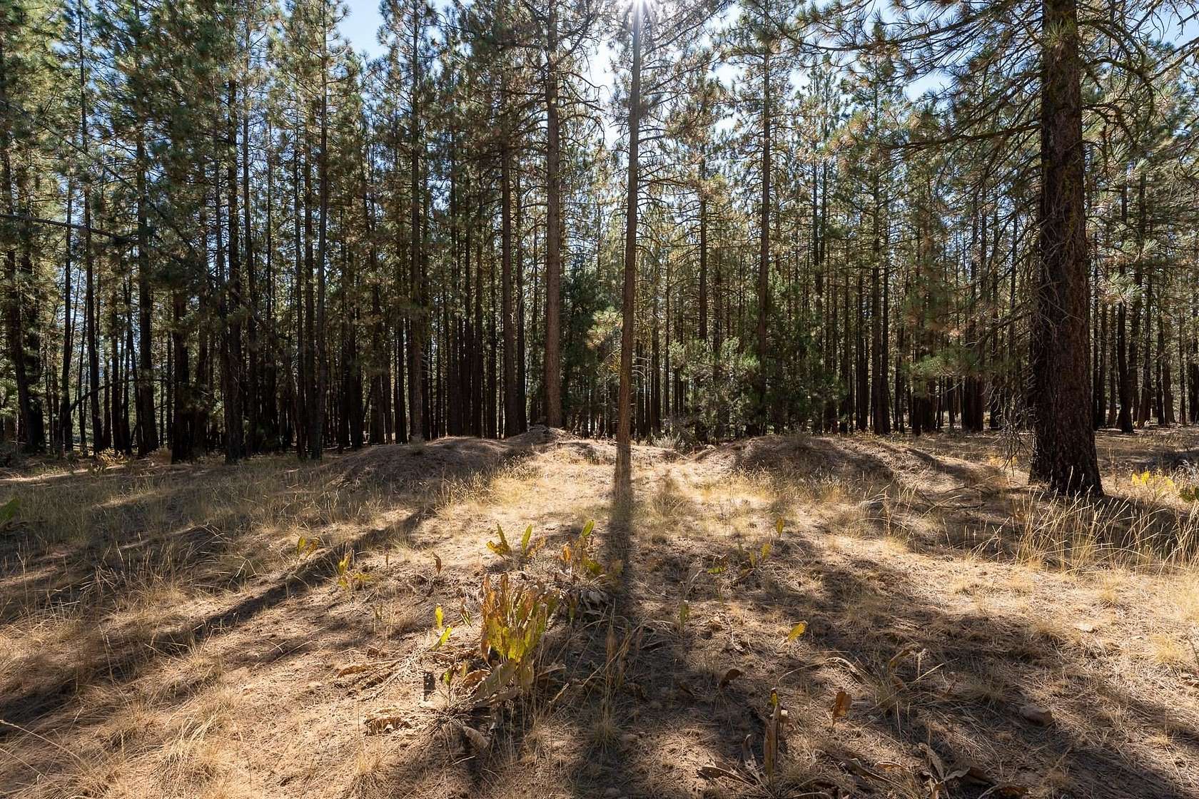 0.32 Acres of Residential Land for Sale in Portola, California