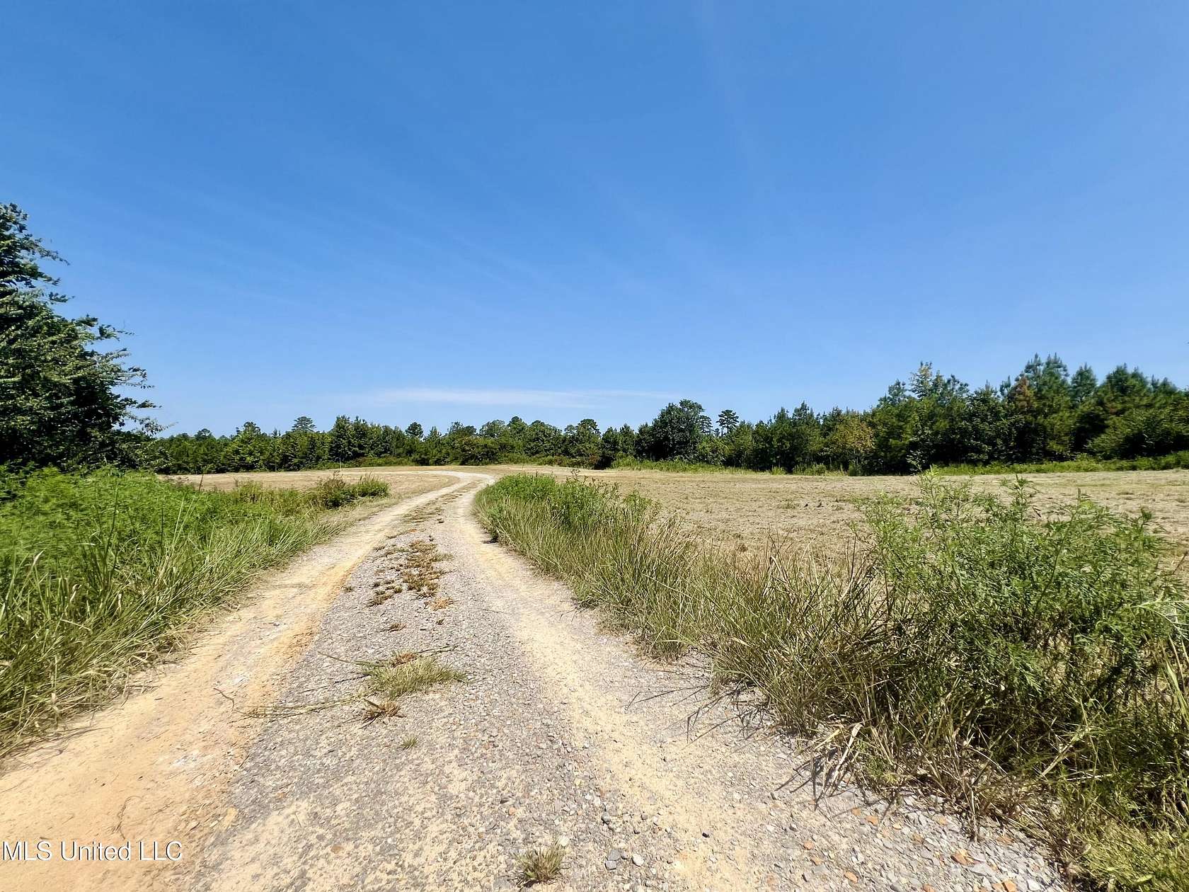 40 Acres of Recreational Land for Sale in Camden, Mississippi