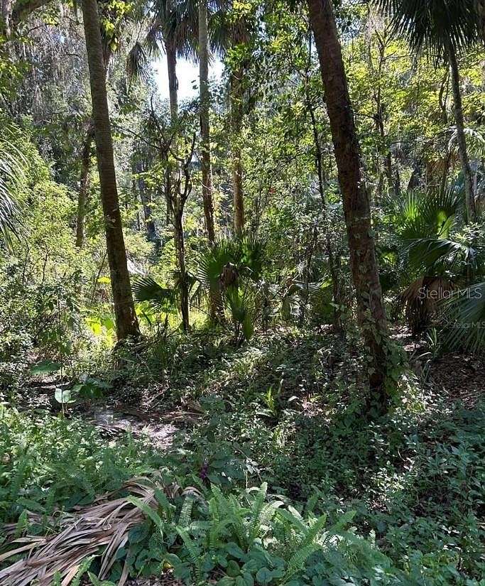 0.34 Acres of Residential Land for Sale in DeBary, Florida