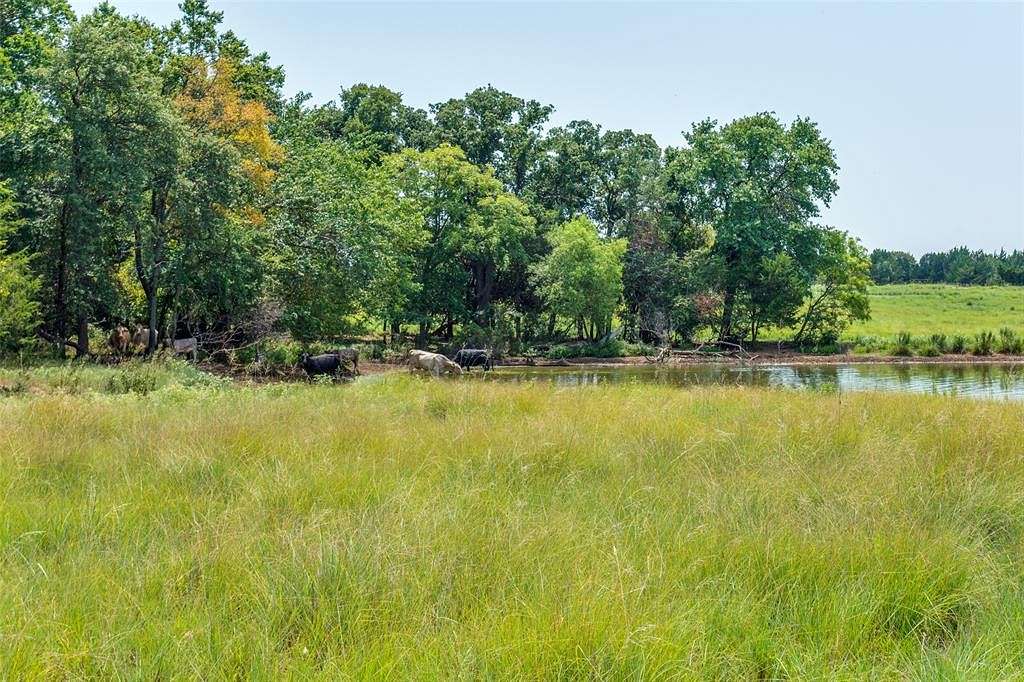 80.74 Acres of Agricultural Land for Sale in Whitesboro, Texas