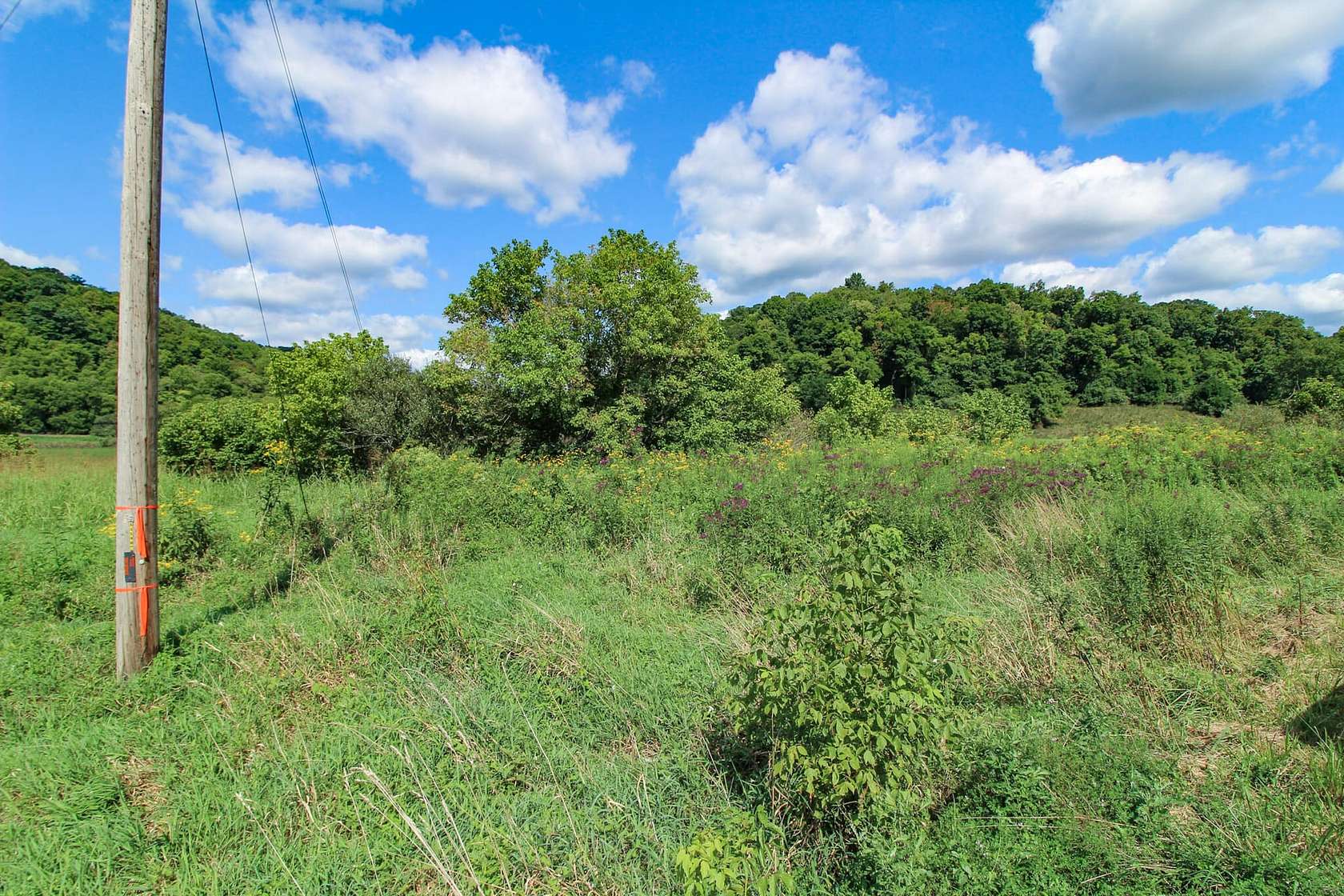 12.11 Acres of Recreational Land for Sale in Caldwell, Ohio