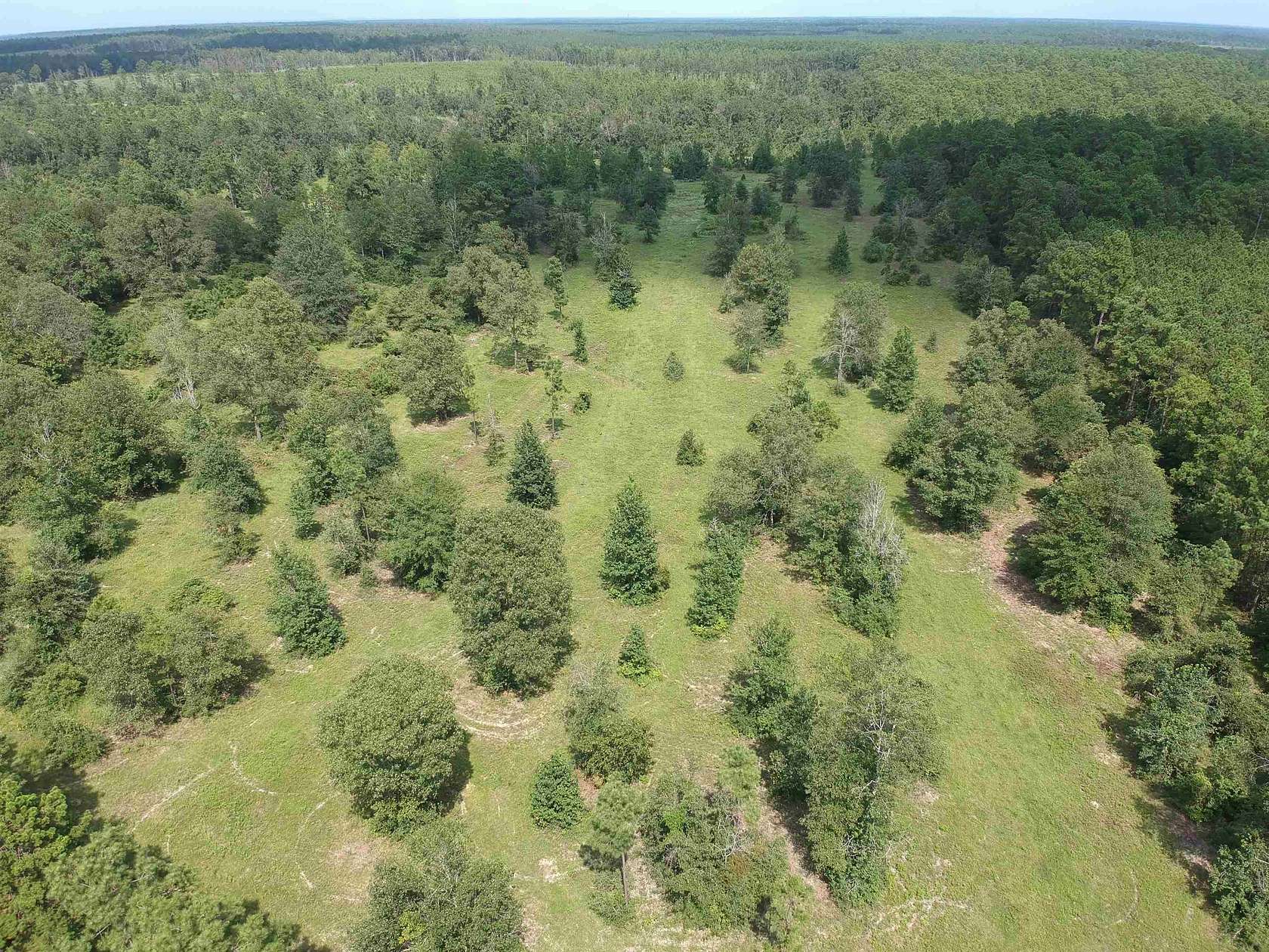 5 Acres of Residential Land for Sale in Hillister, Texas