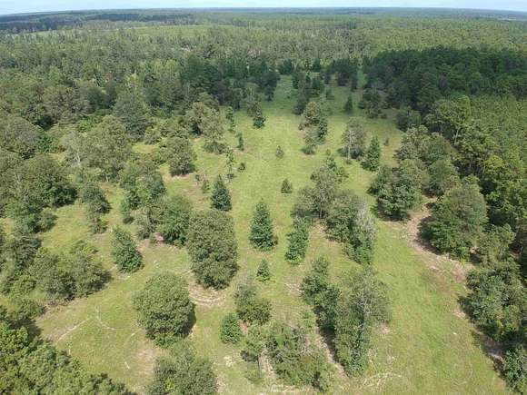 5 Acres of Residential Land for Sale in Hillister, Texas