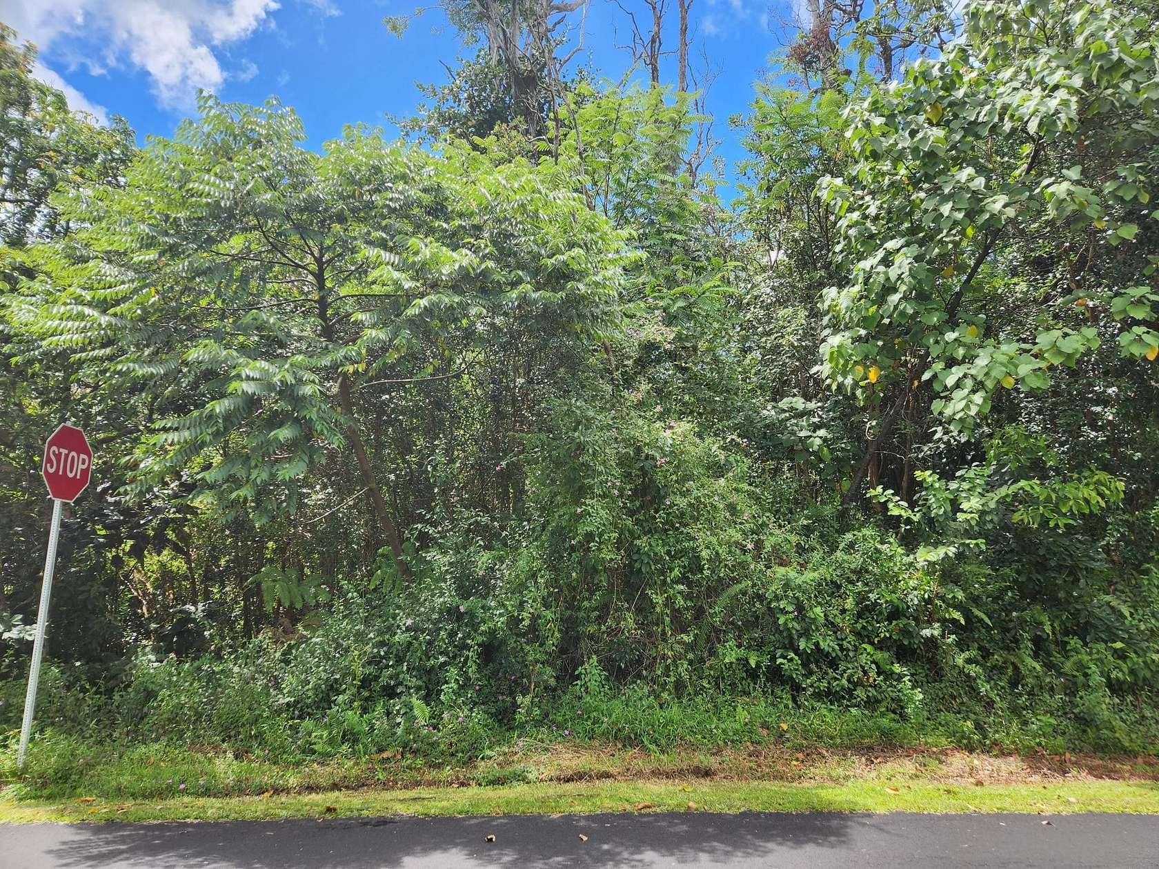 1 Acre of Land for Sale in Pahoa, Hawaii