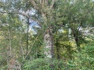 9 Acres of Residential Land for Sale in Lucedale, Mississippi