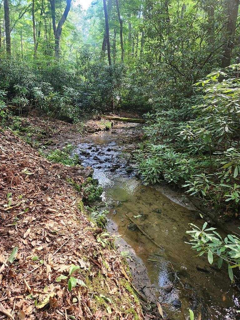 2.17 Acres of Land for Sale in Mineral Bluff, Georgia