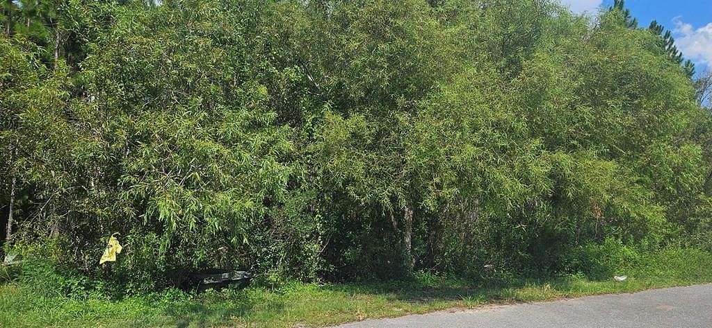 0.114 Acres of Residential Land for Sale in Carrabelle, Florida