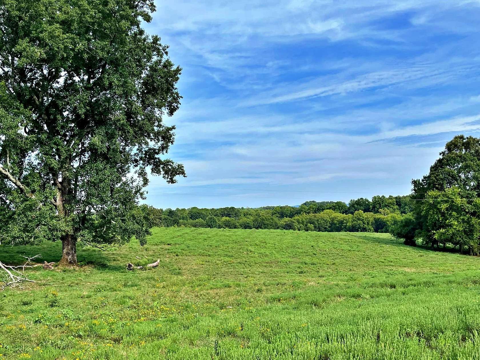 18.61 Acres of Land for Sale in Athens, Tennessee