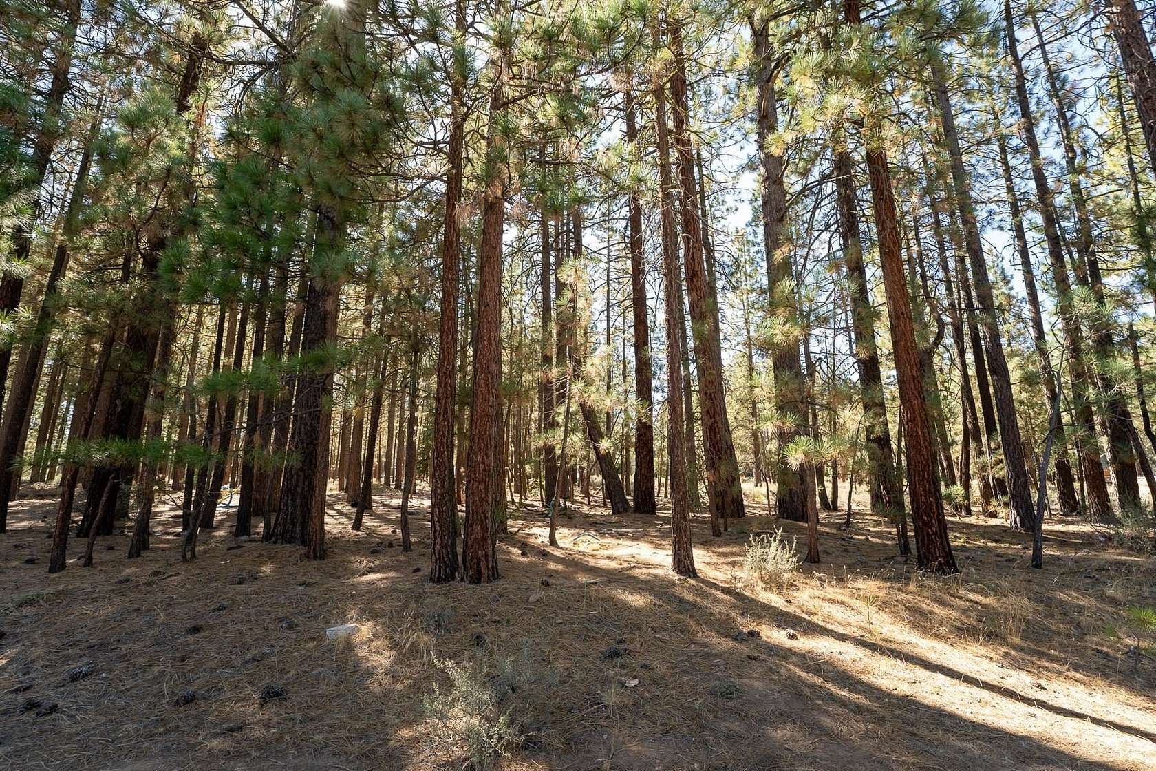 0.32 Acres of Residential Land for Sale in Portola, California