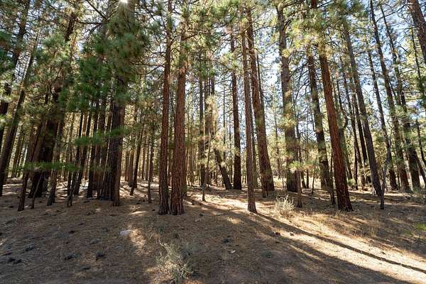 0.32 Acres of Residential Land for Sale in Portola, California