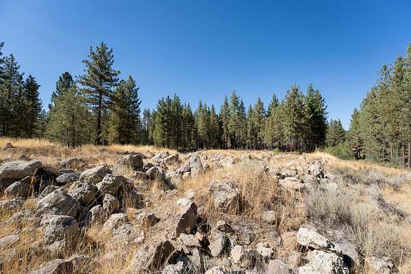 0.41 Acres of Residential Land for Sale in Portola, California