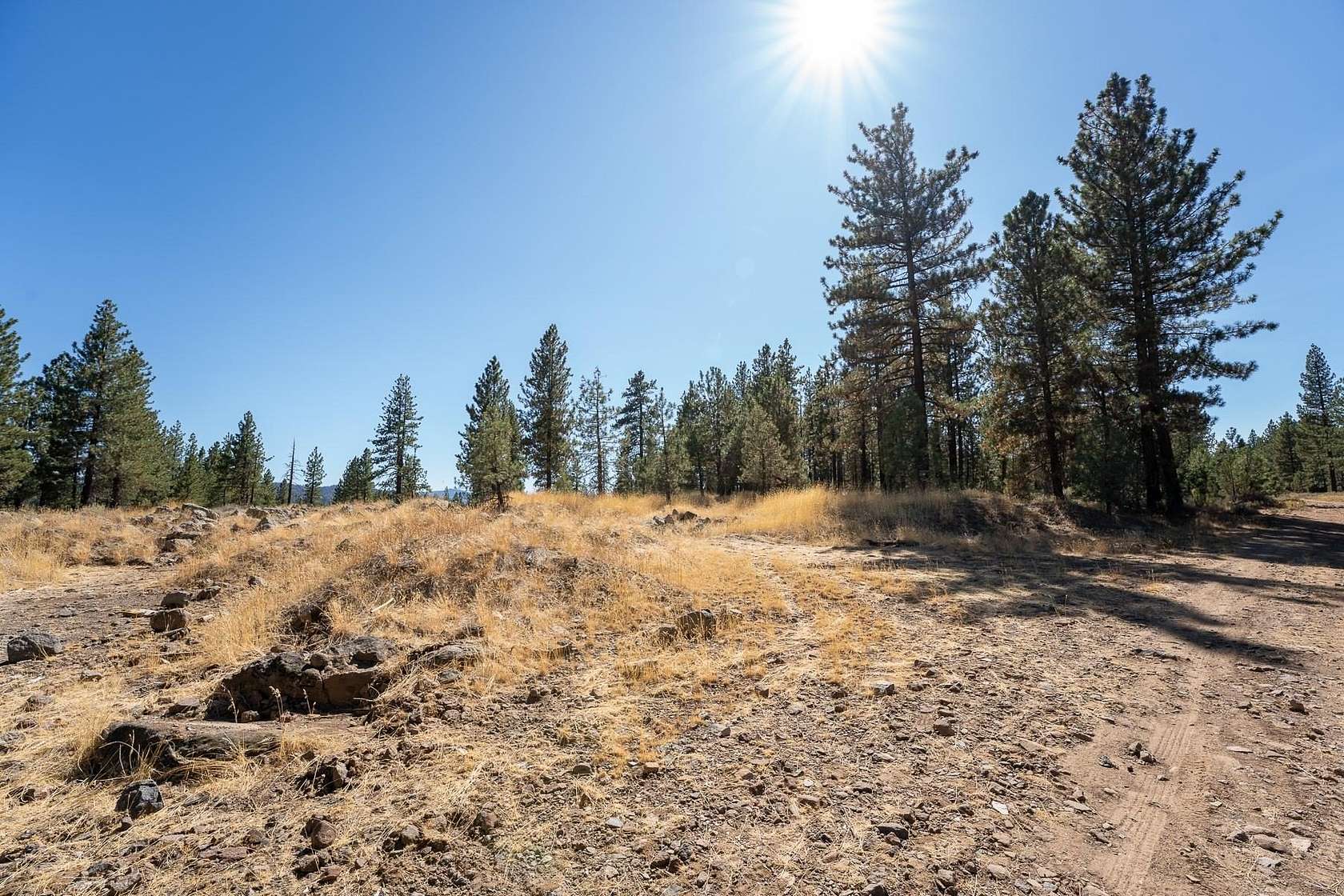 0.51 Acres of Residential Land for Sale in Portola, California