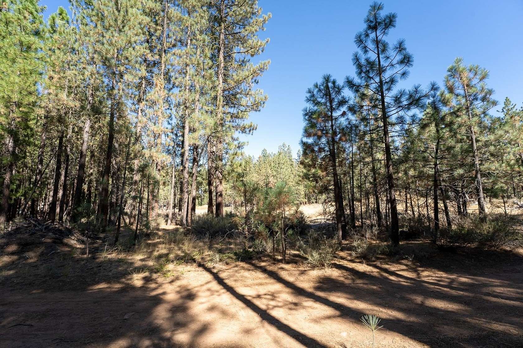 0.32 Acres of Residential Land for Sale in Portola, California