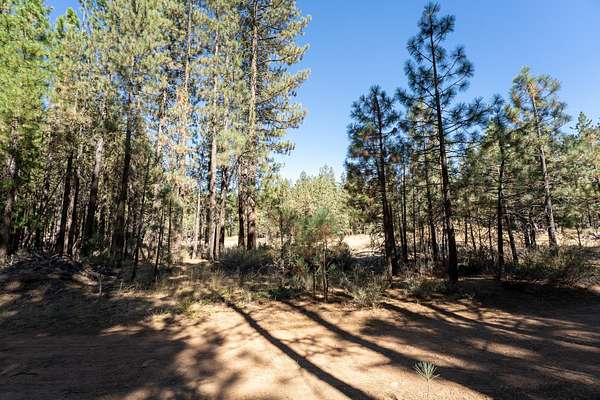 0.32 Acres of Residential Land for Sale in Portola, California