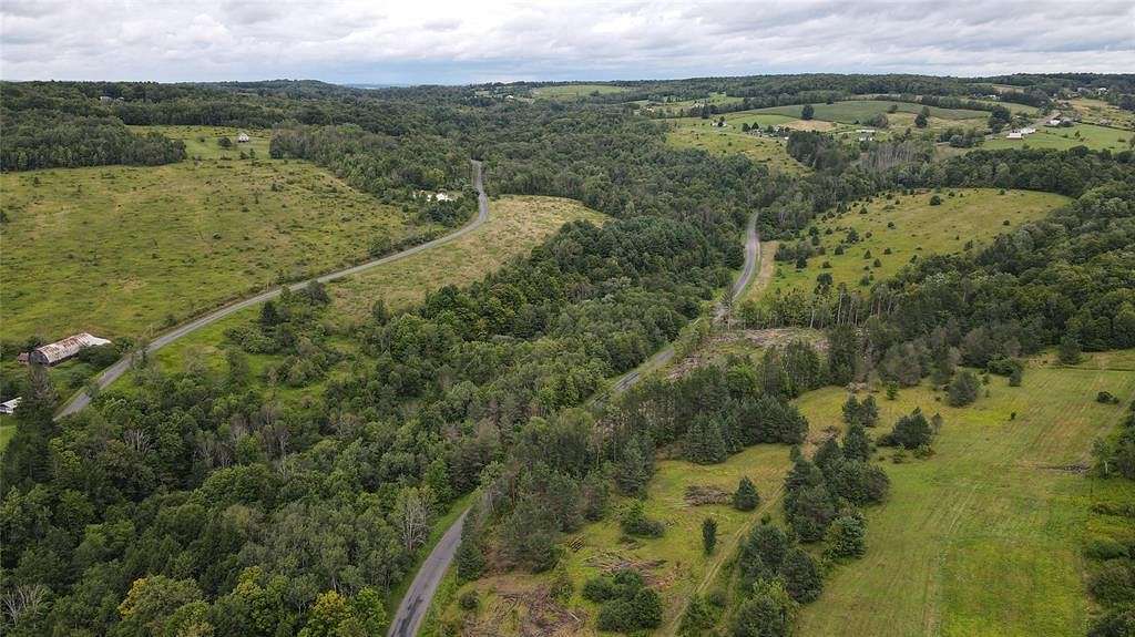 110 Acres of Recreational Land for Sale in Whitney Point, New York