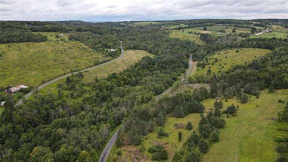 110 Acres of Recreational Land for Sale in Whitney Point, New York