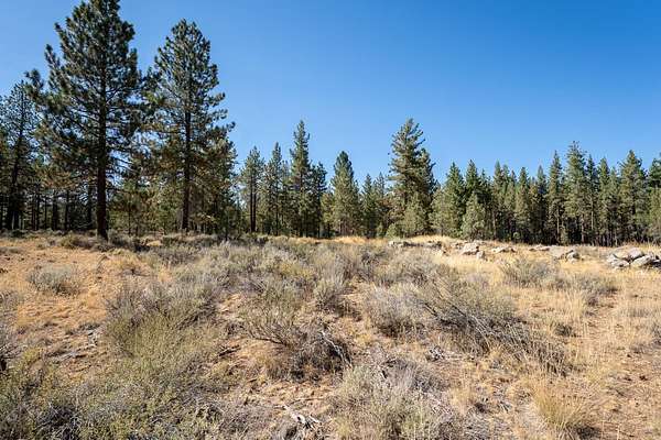 0.41 Acres of Residential Land for Sale in Portola, California