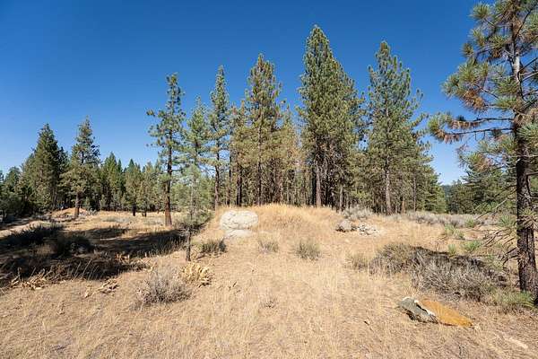 0.32 Acres of Residential Land for Sale in Portola, California