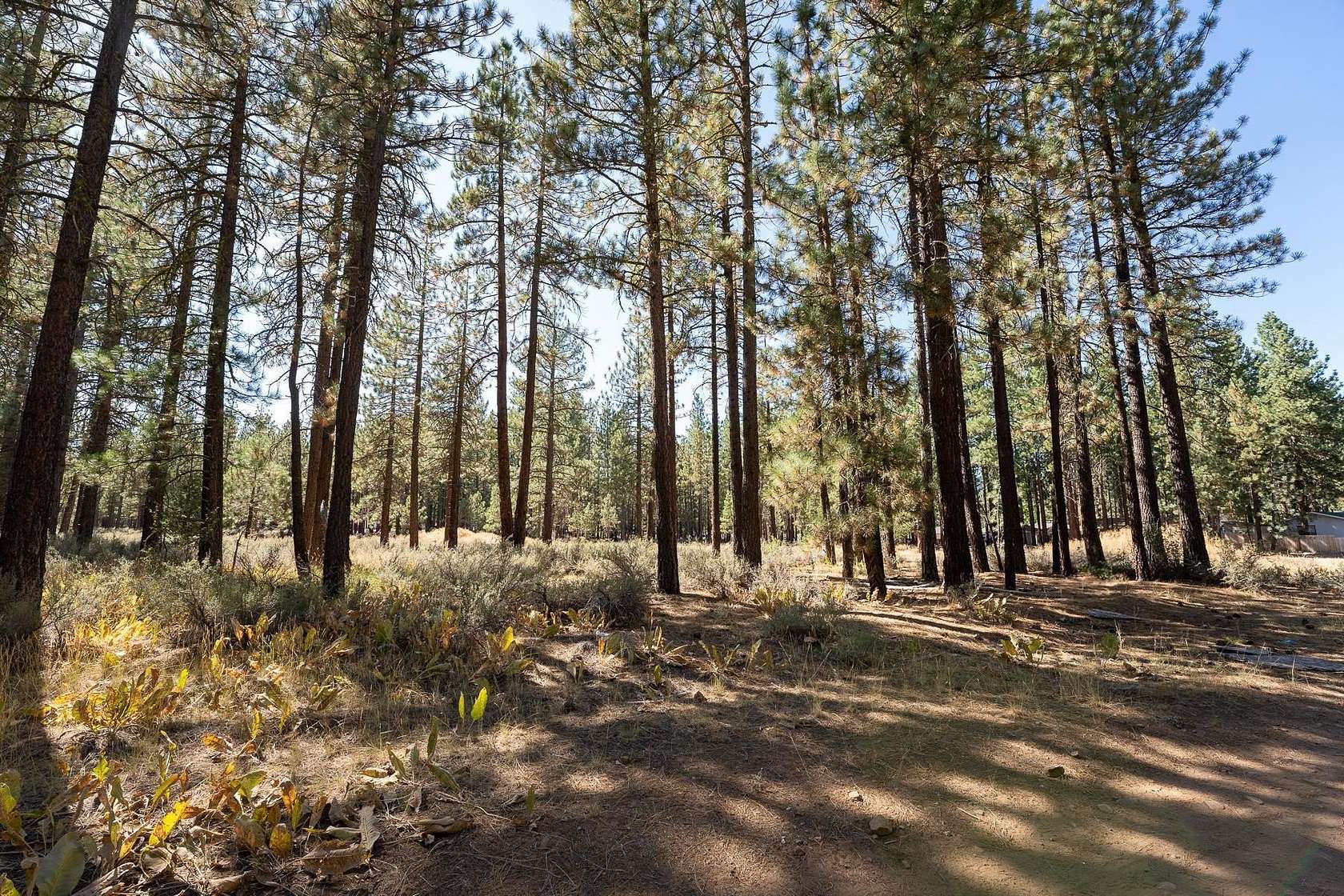 0.32 Acres of Residential Land for Sale in Portola, California