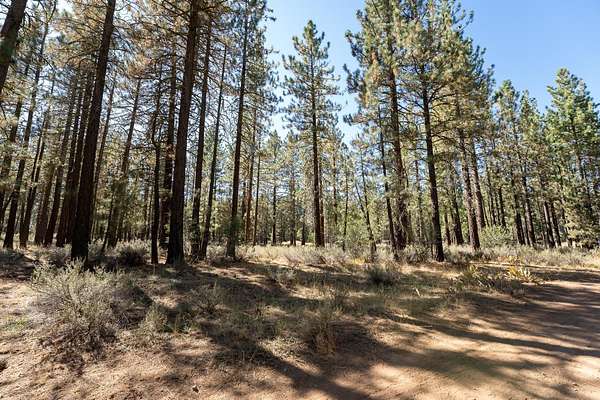 0.32 Acres of Land for Sale in Portola, California