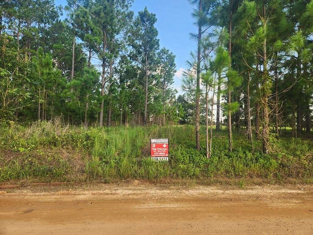 6 Acres of Residential Land with Home for Sale in Uvalda, Georgia