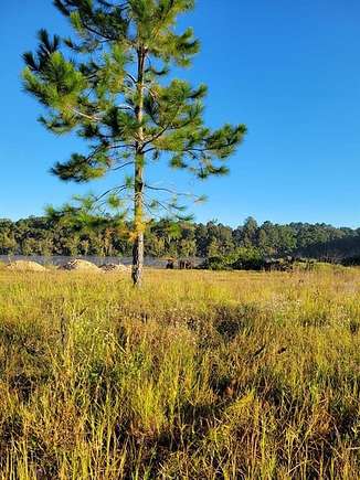 3.42 Acres of Residential Land for Sale in Waycross, Georgia