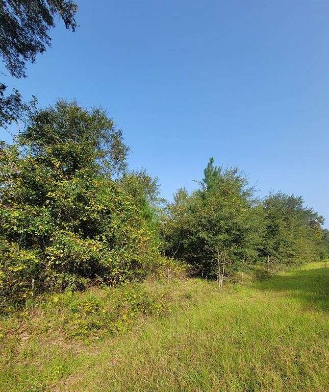 1.04 Acres of Residential Land for Sale in Waycross, Georgia