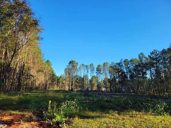 1.33 Acres of Residential Land for Sale in Waycross, Georgia