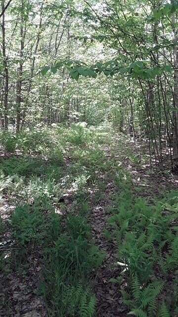 9.89 Acres of Recreational Land for Sale in Sugar Island, Michigan