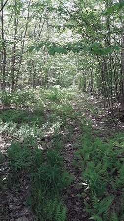 9.89 Acres of Recreational Land for Sale in Sugar Island, Michigan