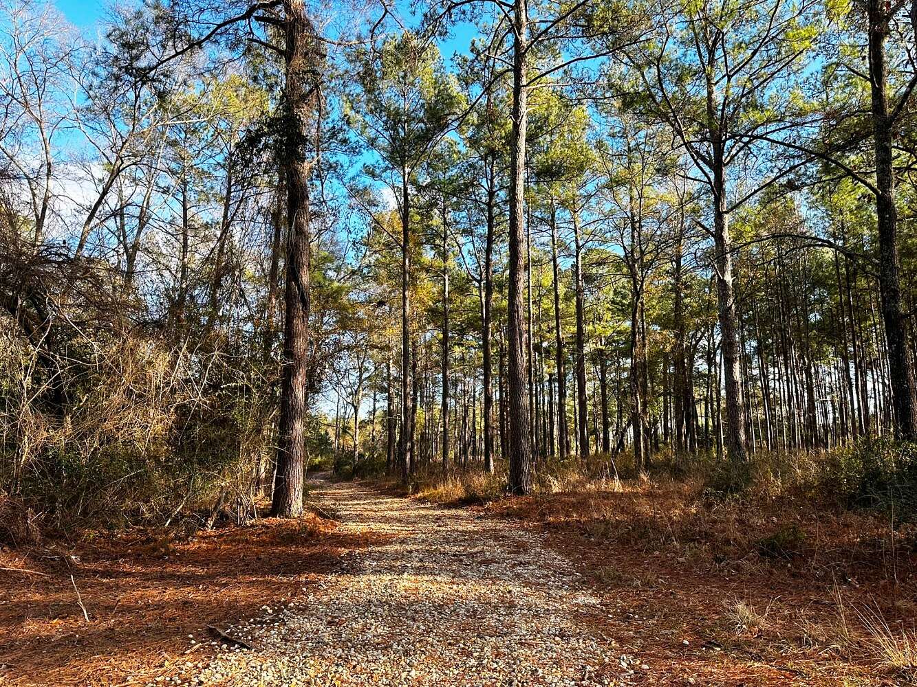 4.7 Acres of Land for Sale in Sumrall, Mississippi