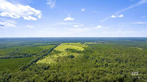 62 Acres of Recreational Land & Farm for Sale in Loxley, Alabama