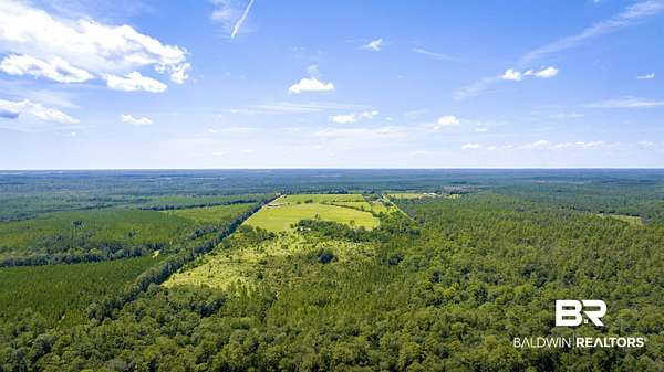 62 Acres of Land for Sale in Loxley, Alabama