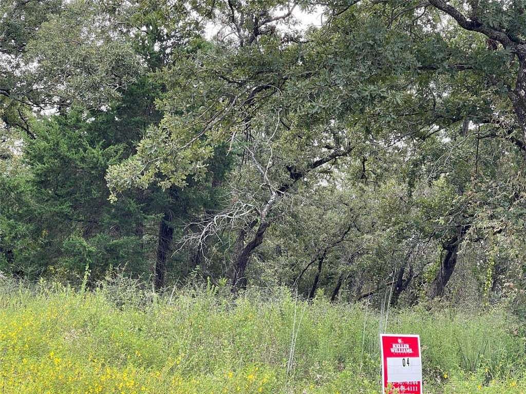 Land for Sale in Rockdale, Texas