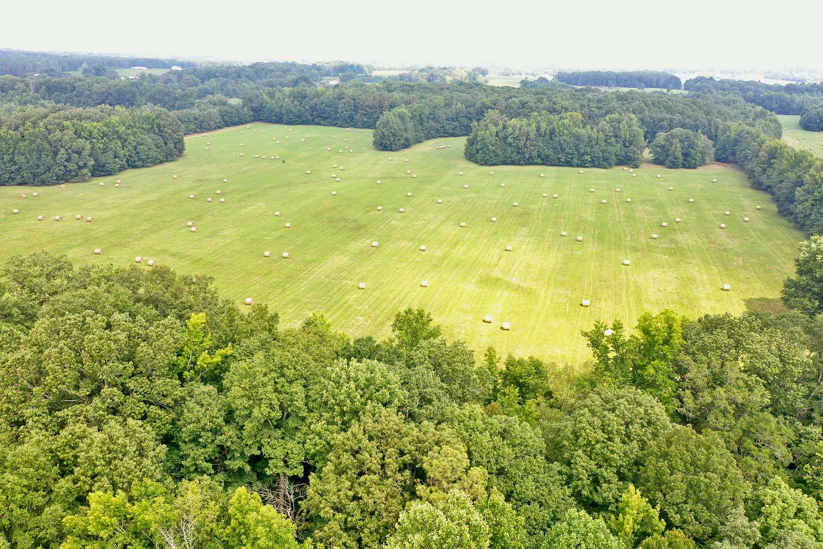 70 Acres of Land for Sale in Hillsboro, Alabama