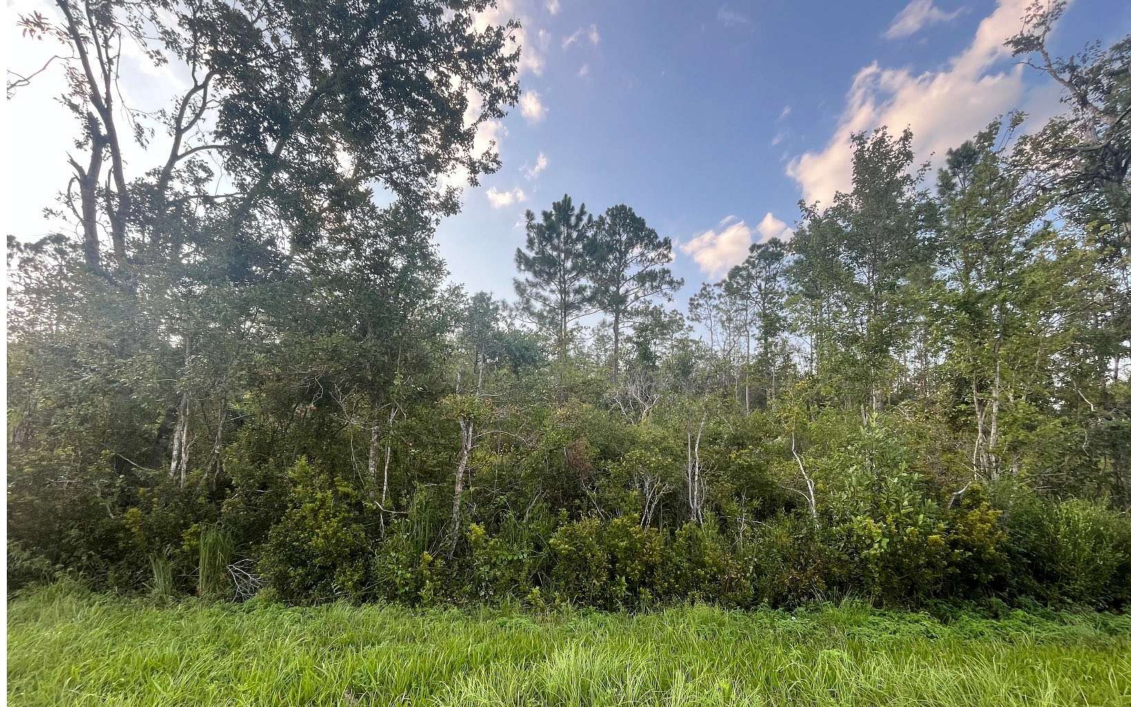 5 Acres of Land for Sale in Perry, Florida