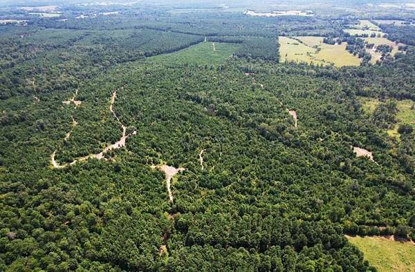 206 Acres of Recreational Land for Sale in Laneville, Texas