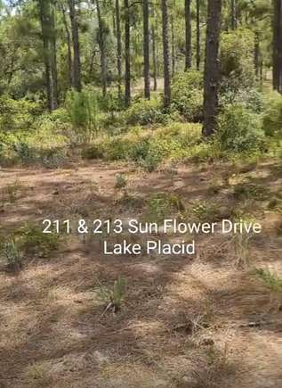 0.227 Acres of Residential Land for Sale in Lake Placid, Florida