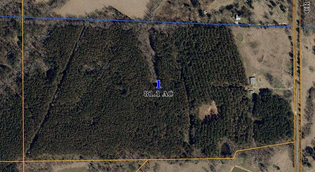 19.212 Acres of Land for Sale in Oxford, Mississippi